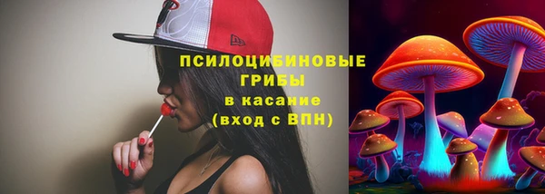 spice Гусев