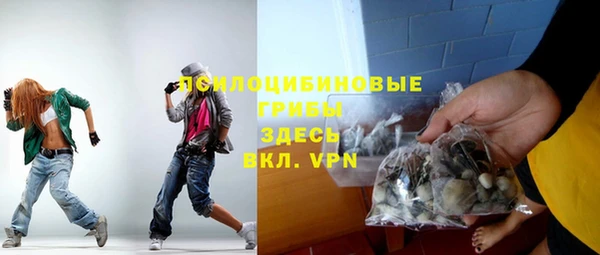 spice Гусев
