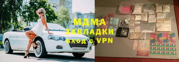 прущие грибы Волоколамск