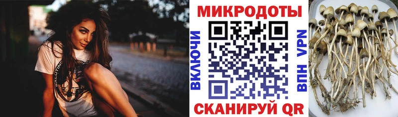 Галлюциногенные грибы ЛСД  где продают наркотики  Заречный 